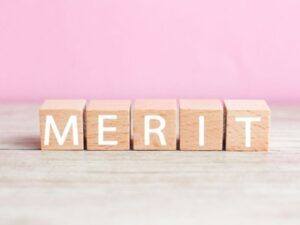 MERITの木製ブロック