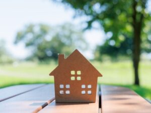 緑に囲まれた家のミニチュア