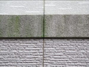 色あせ・苔・汚れ